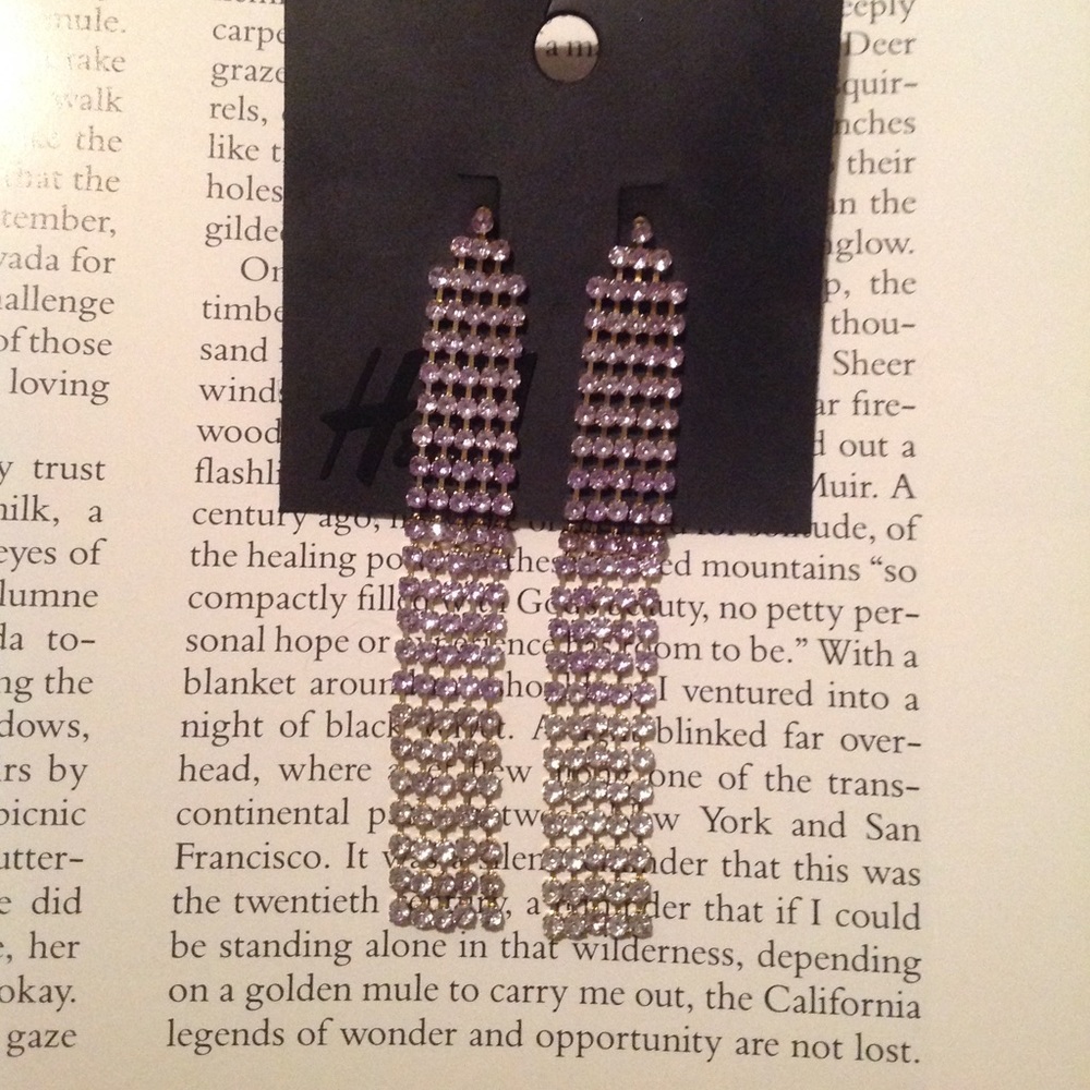 Beautiful Rhinestone Earrings From Tilly’s